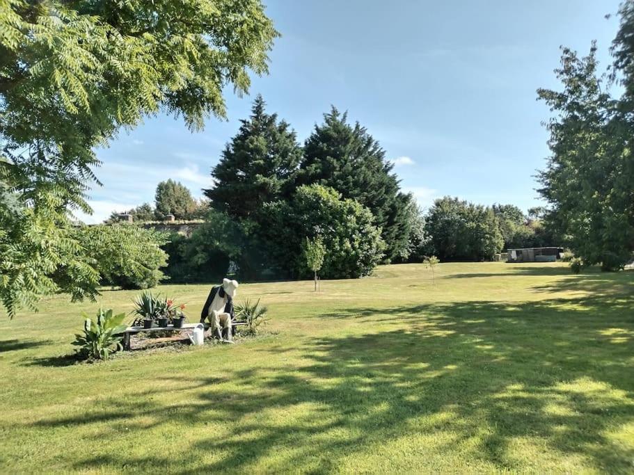 Berville-sur-MerDomaine Des Cerisiers公寓 外观 照片